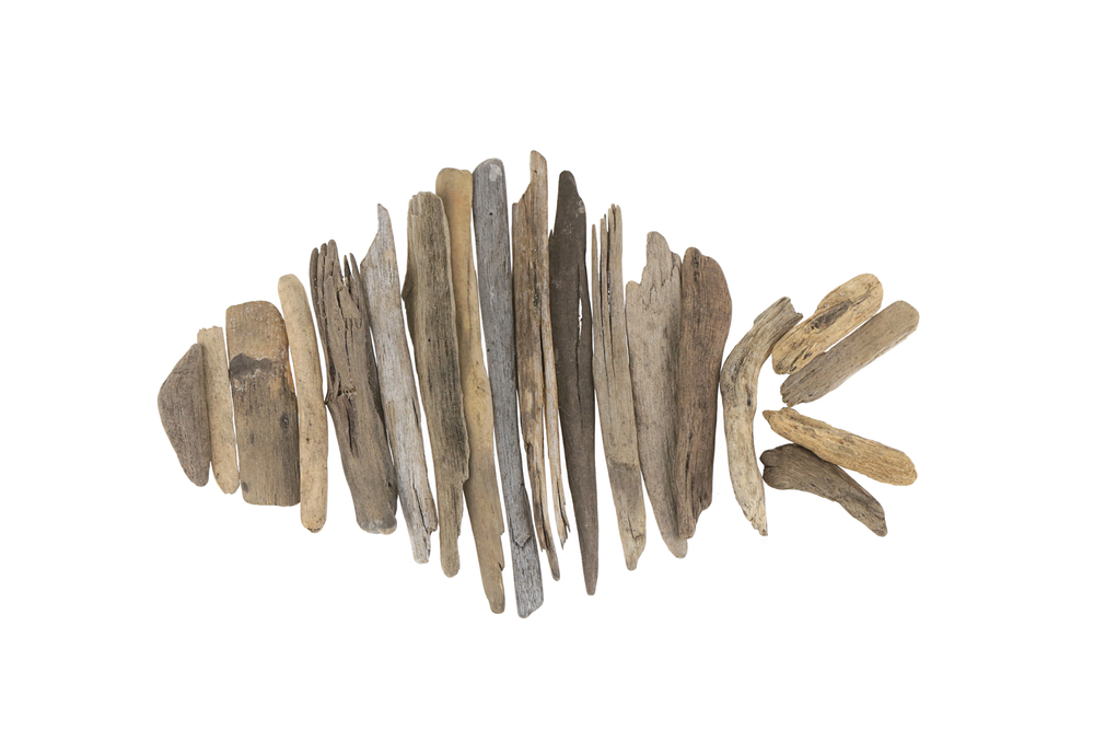 driftwood element
