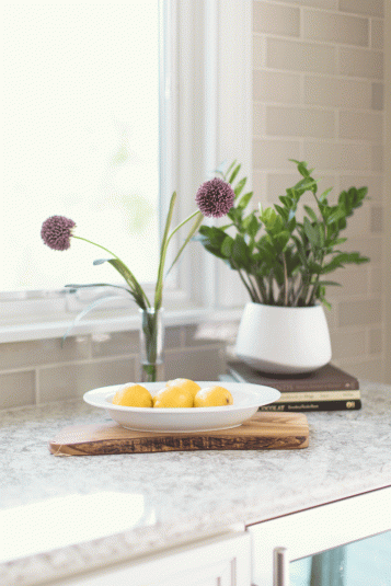 Kitchen Remodel design